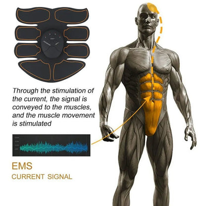 Electric Muscle Stimulator (EMS) for Buttocks, Hip, Abdominal ABS Trainer. - Tru Tulip